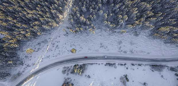 snökäppar