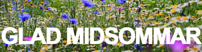 midsommar för ökad trafiksäkerhet midsommartrafik farthinder, hastighetsdisplay och vägbom