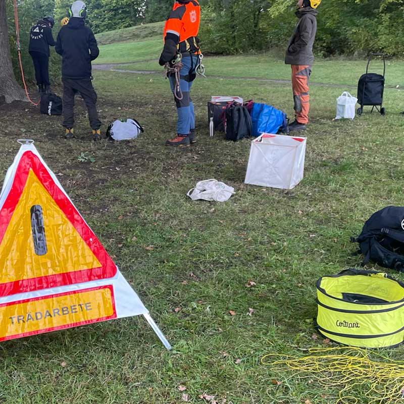 trädarbete trädfällning säkerhet varningstält