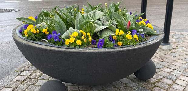 planteringskärl blomlåda offentlig miljö plantering trädgård