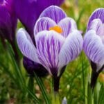 Anmäl dig till vårt nyhetsbrev för senaste nytt om vägbulor och effektiva lösningar för säkrare vägar och vägbulor